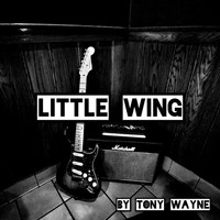 Tony Wayne - Little Wing