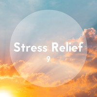 Zen Mechanics, Stress Relief Calm Oasis, Deep Sleep Relaxation - Stress Relief, Vol. 9