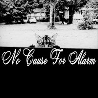 No Cause for Alarm - Hey You (Want You to Know ) [Demo ] (Explicit)