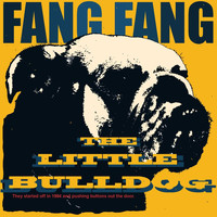 Fang Fang - The Little Bulldog