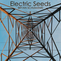 Bryan Schumann - Electric Seeds