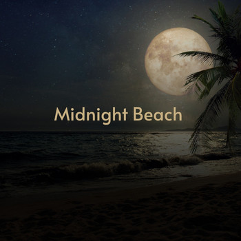 Various Artists - Midnight Beach (Explicit)