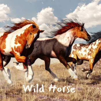 Various Artists - Wild Horse.