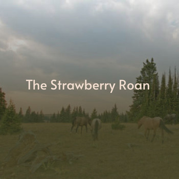 Various Artists - Strawberry Roan