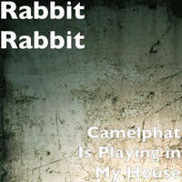 Rabbit Rabbit - Camelphat Is Playing in My House