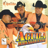Aguila Hidalguense - Chulita