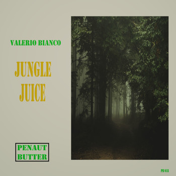 Valerio Bianco - Jungle Juice