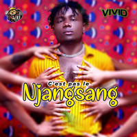 Vivid - C'est pas le Njangsang