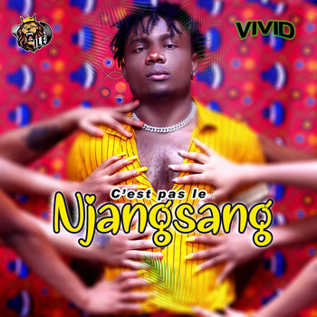 Vivid - C'est pas le Njangsang