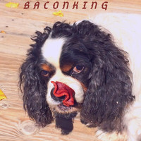 Forest E. Bayer - Baconking - EP