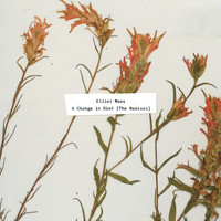 Elliot Moss - Bodyintoshapes (Elsa y Elmar Remix)