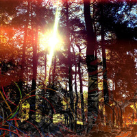 Viviankrist - Cross Modulation (Bootleg Remixes)