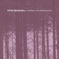 Peter Bruntnell - Normal for Bridgwater