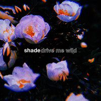 Shade - Drive Me Wild