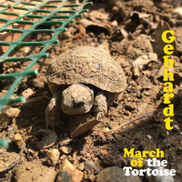 Gebhardt - March of the Tortoise