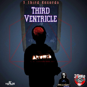 Aprowch - Third Ventricle (Explicit)