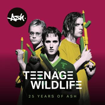 Ash - Teenage Wildlife: 25 Years of Ash (Explicit)