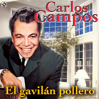 Carlos Campos - El Gavilán Pollero