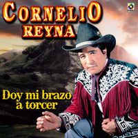 Cornelio Reyna - Doy Mi Brazo a Torcer