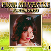 Flor Silvestre - Colección De Oro: Con Mariachi – Vol. 1, Amémonos