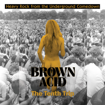 Various Artists / - Brown Acid - The Tenth Trip