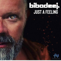 BIBA DEE J - Just a Feeling