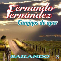 Fernando Fernandez - Caminos De Ayer