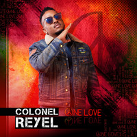 Colonel Reyel - One Love