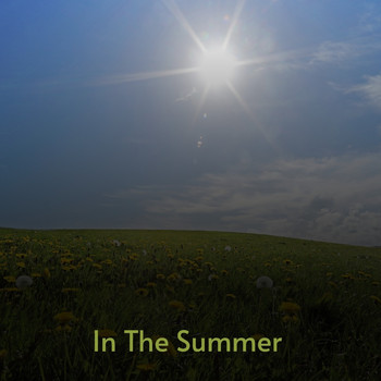Various Artists - In the Summer