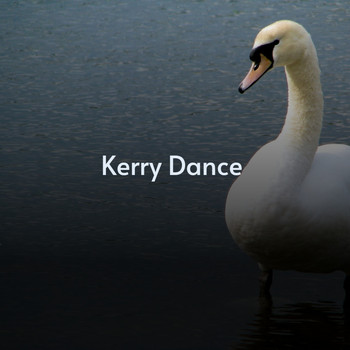 Various Artists - Kerry Dance