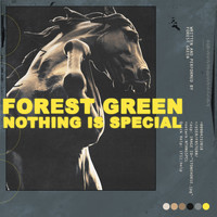 Forest Green - Nothing Is Special