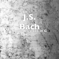 J.S. Bach - Fugue Bwv 535 in G Minor