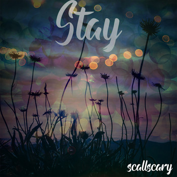 scallscary / - Stay