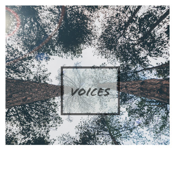 Wildknights / - Voices