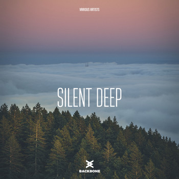 Various Artists - Silent Deep