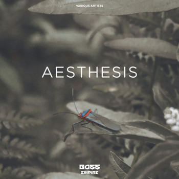 Various Artists - Aesthesis