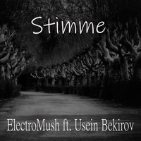 ElectroMush - Stimme (feat. Usein Bekirov)