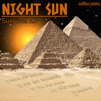Night Sun - Survival