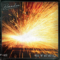 Brandon - Steel