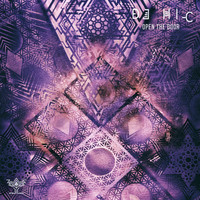 DJ HI-C - OPEN THE DOOR