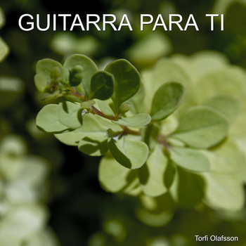 Torfi Olafsson - Guitarra Para Ti