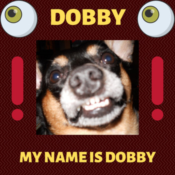Andy Garrett - Dobby - My Name Is Dobby
