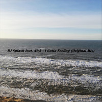 DJ Splash - I Gotta Feeling (feat. Nick)