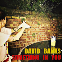 David Banks - Something in You
