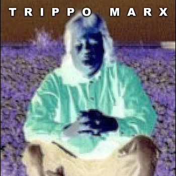 Trippo Marx - Songs for an Imaginary Audience (Explicit)