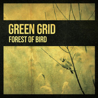 Green Grid - Forest of Bird