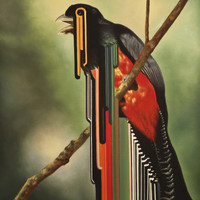 Leah Kardos - Bird Rib