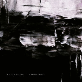 Wilson Trouvé - Evanescence