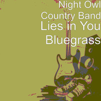 Night Owl Country Band - Lies in You Bluegrass