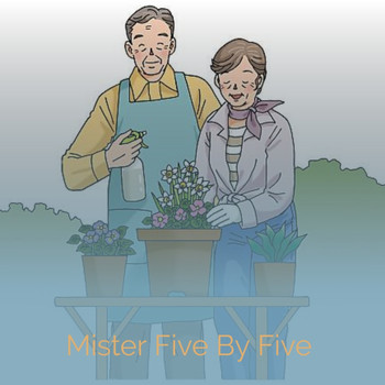 Various Artists - Mister Five by Five